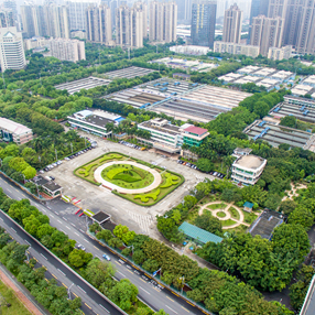 半岛在线(中国)